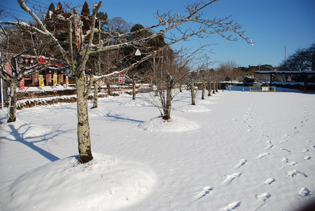 DSC_0876.JPG